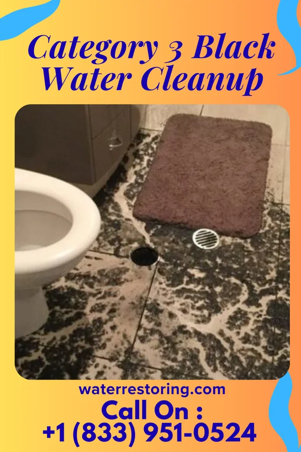 Category 3 Black Water Cleanup in Bridgeton, NC