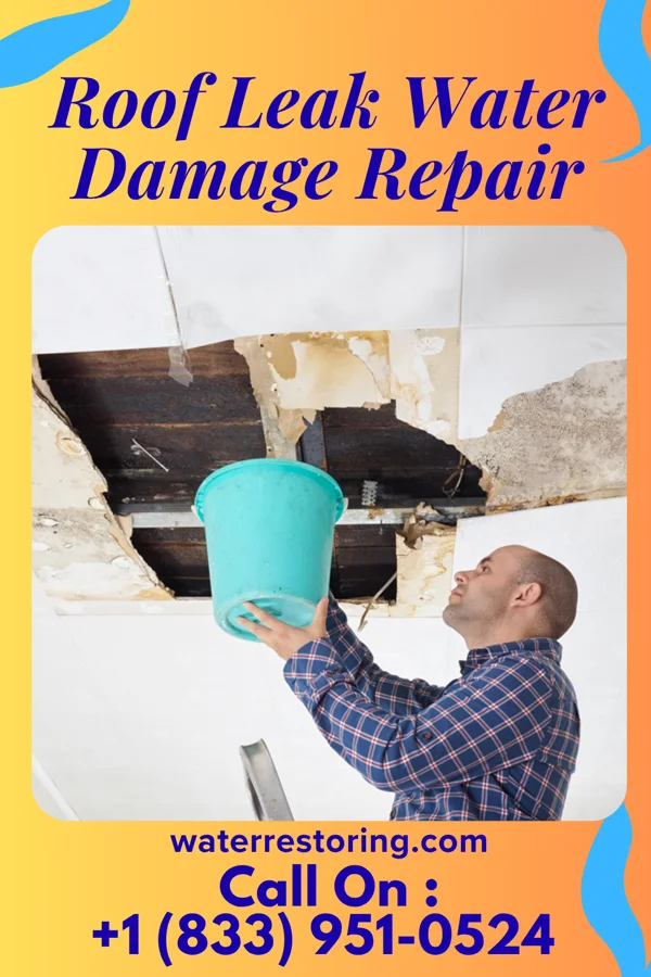 Roof Leak Water Damage Repair in Bridgeton, NC