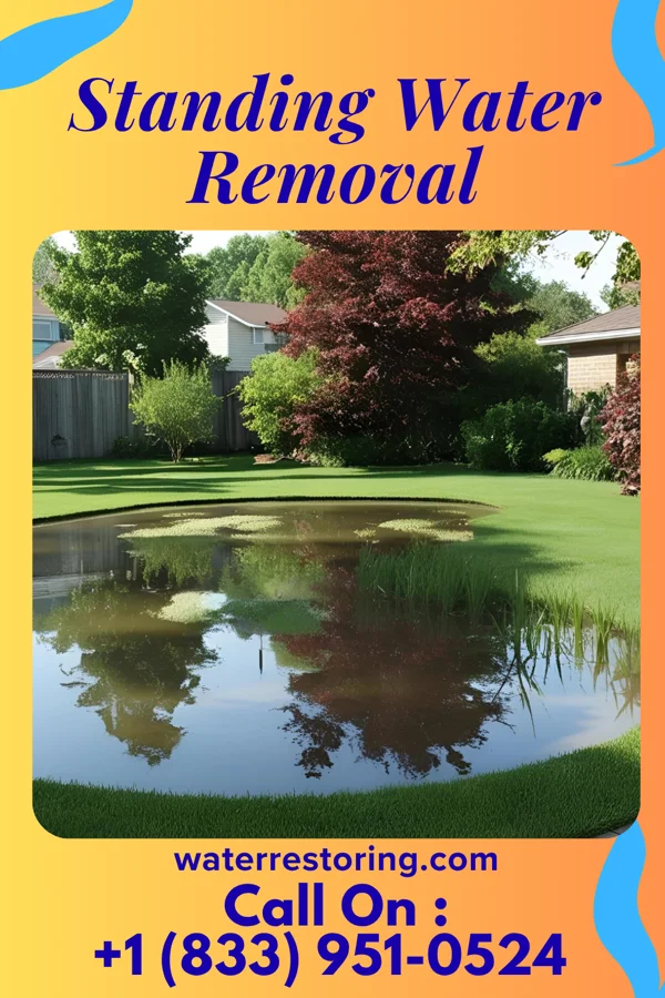 Standing Water Removal in Bridgeton, NC